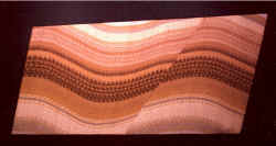 02.02_Fault.jpg (177302 bytes)